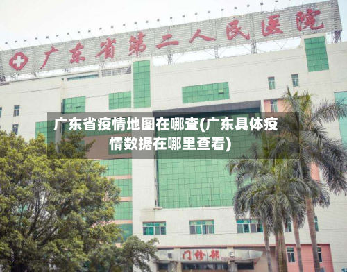 广东省疫情地图在哪查(广东具体疫情数据在哪里查看)-第1张图片