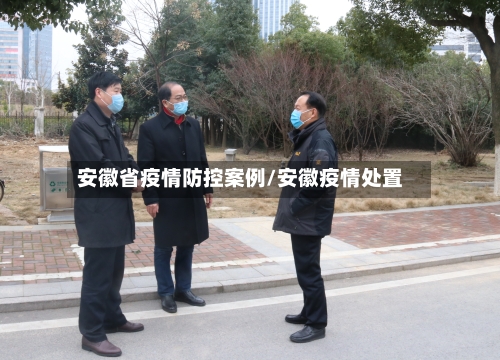 安徽省疫情防控案例/安徽疫情处置-第1张图片