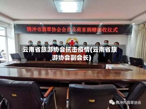 云南省旅游协会抗击疫情(云南省旅游协会副会长)-第2张图片