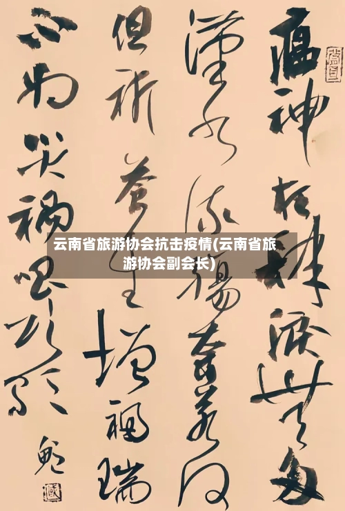 云南省旅游协会抗击疫情(云南省旅游协会副会长)-第1张图片
