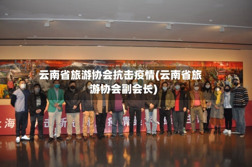 云南省旅游协会抗击疫情(云南省旅游协会副会长)-第3张图片