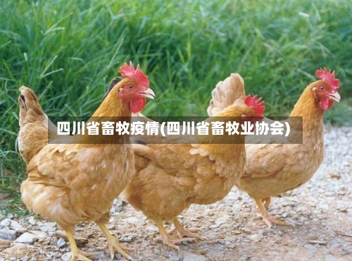 四川省畜牧疫情(四川省畜牧业协会)-第1张图片