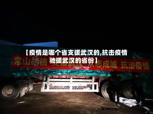 【疫情是哪个省支援武汉的,抗击疫情驰援武汉的省份】-第1张图片