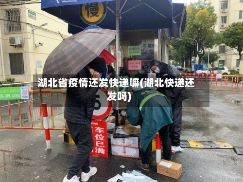 湖北省疫情还发快递嘛(湖北快递还发吗)-第1张图片