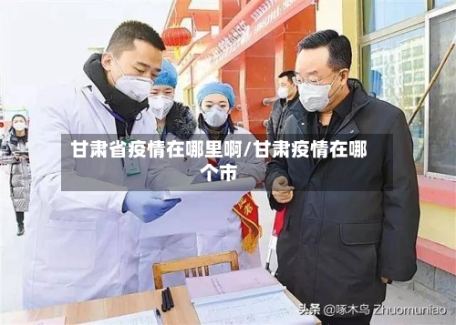 甘肃省疫情在哪里啊/甘肃疫情在哪个市-第1张图片