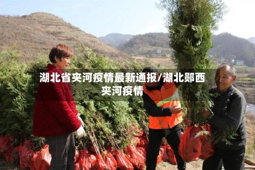 湖北省夹河疫情最新通报/湖北郧西夹河疫情-第1张图片