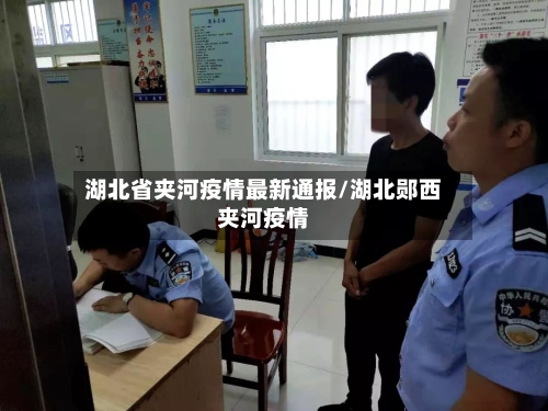 湖北省夹河疫情最新通报/湖北郧西夹河疫情-第2张图片