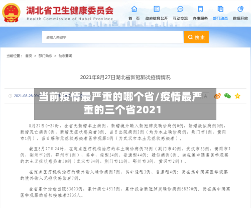 当前疫情最严重的哪个省/疫情最严重的三个省2021-第3张图片