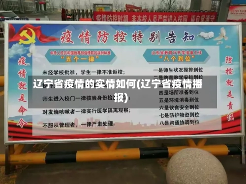辽宁省疫情的实情如何(辽宁省疫情播报)-第1张图片