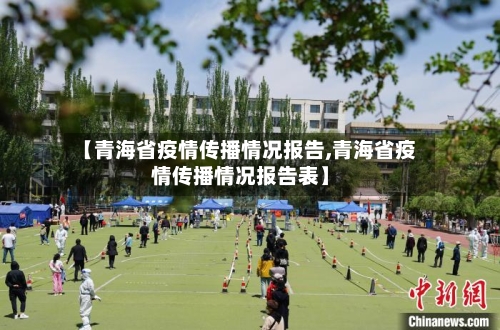 【青海省疫情传播情况报告,青海省疫情传播情况报告表】-第2张图片