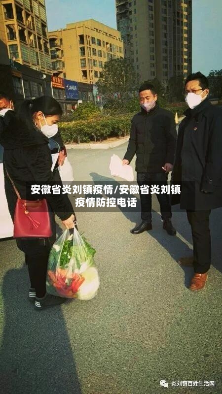 安徽省炎刘镇疫情/安徽省炎刘镇疫情防控电话-第2张图片
