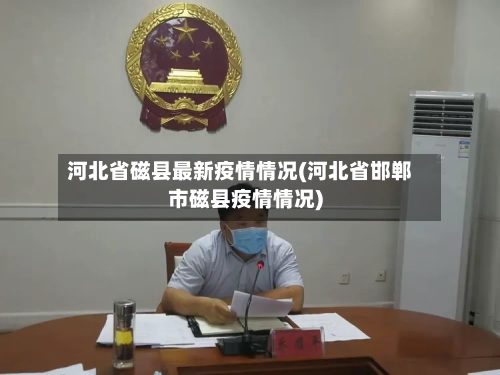 河北省磁县最新疫情情况(河北省邯郸市磁县疫情情况)-第2张图片
