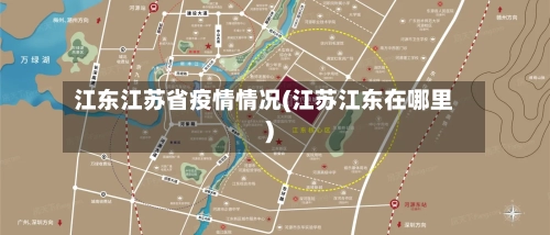 江东江苏省疫情情况(江苏江东在哪里)-第2张图片