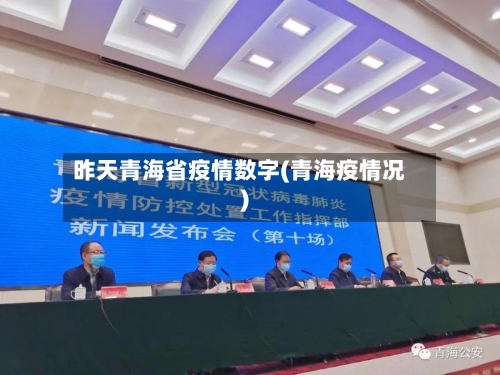 昨天青海省疫情数字(青海疫情况)-第3张图片