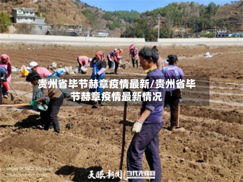 贵州省毕节赫章疫情最新/贵州省毕节赫章疫情最新情况-第3张图片