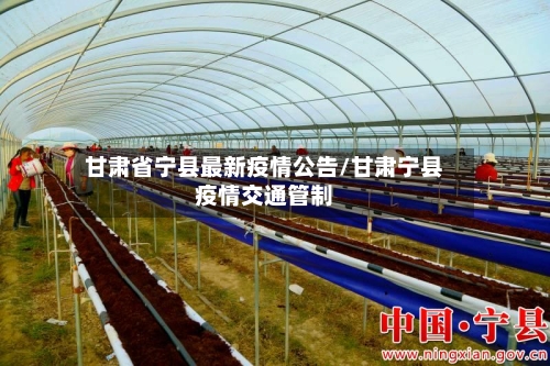 甘肃省宁县最新疫情公告/甘肃宁县疫情交通管制-第3张图片