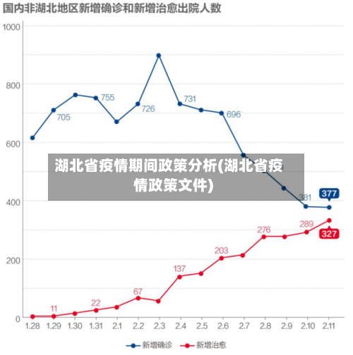 湖北省疫情期间政策分析(湖北省疫情政策文件)-第2张图片