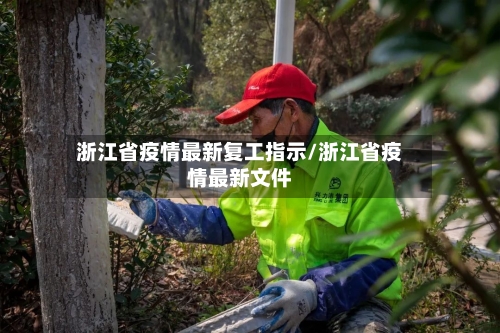 浙江省疫情最新复工指示/浙江省疫情最新文件-第1张图片