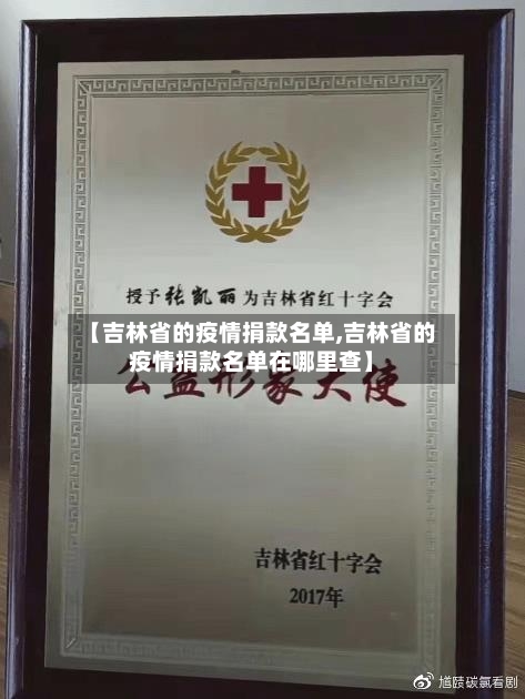 【吉林省的疫情捐款名单,吉林省的疫情捐款名单在哪里查】-第1张图片