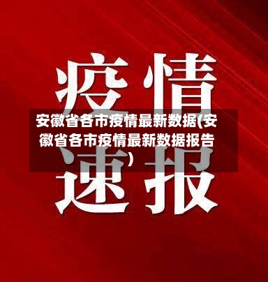 安徽省各市疫情最新数据(安徽省各市疫情最新数据报告)-第2张图片