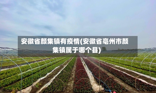 安徽省颜集镇有疫情(安徽省亳州市颜集镇属于哪个县)-第2张图片