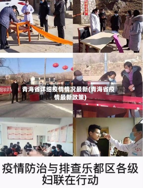 青海省详细疫情情况最新(青海省疫情最新政策)-第3张图片