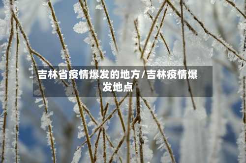 吉林省疫情爆发的地方/吉林疫情爆发地点-第2张图片