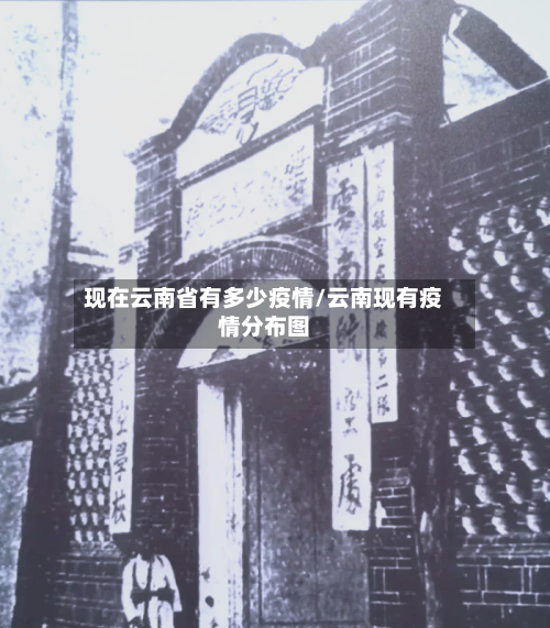 现在云南省有多少疫情/云南现有疫情分布图-第2张图片