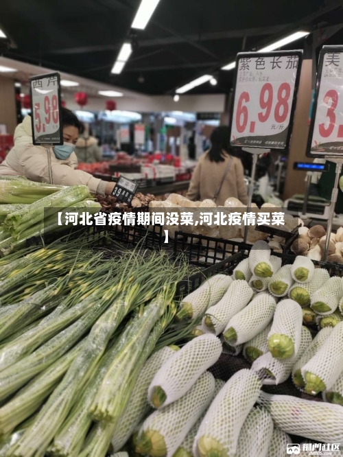 【河北省疫情期间没菜,河北疫情买菜】-第1张图片