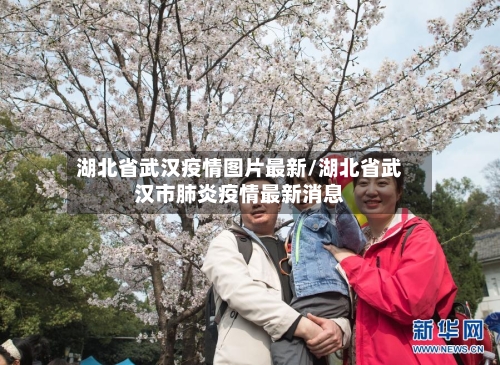 湖北省武汉疫情图片最新/湖北省武汉市肺炎疫情最新消息-第1张图片