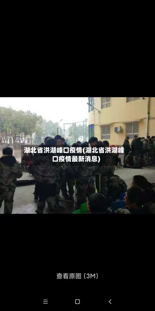 湖北省洪湖峰口疫情(湖北省洪湖峰口疫情最新消息)-第2张图片