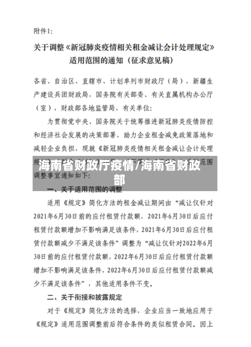 海南省财政厅疫情/海南省财政部-第3张图片