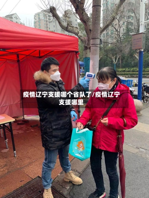 疫情辽宁支援哪个省队了/疫情辽宁支援哪里-第2张图片