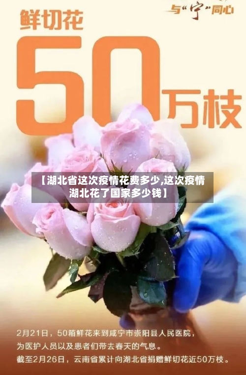 【湖北省这次疫情花费多少,这次疫情湖北花了国家多少钱】-第1张图片