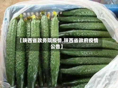 【陕西省政务院疫情,陕西省政府疫情公告】-第2张图片
