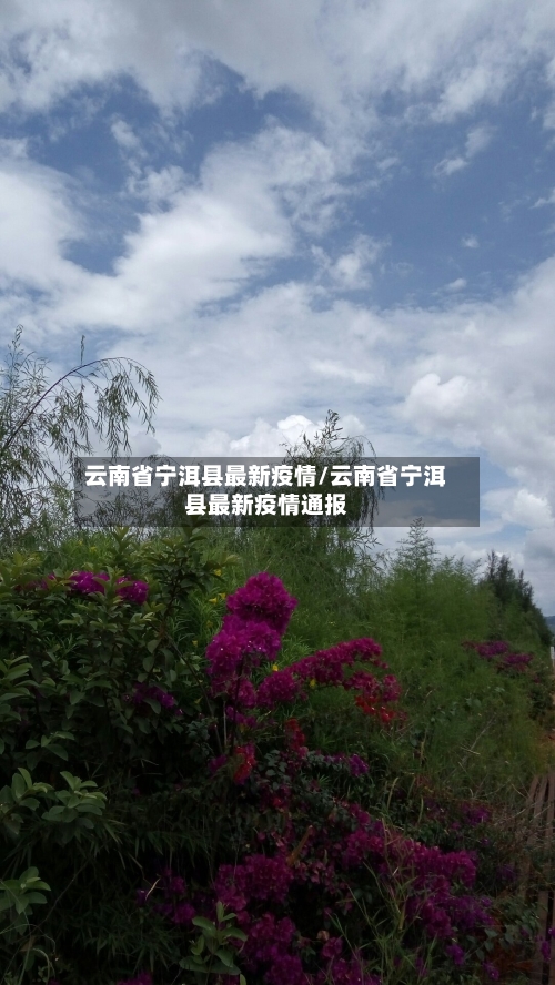 云南省宁洱县最新疫情/云南省宁洱县最新疫情通报-第2张图片