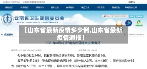 【山东省最新疫情多少例,山东省最新疫情通报】-第3张图片