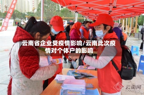 云南省企业受疫情影响/云南此次疫情对个体户的影响-第1张图片