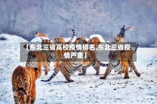 【东北三省高校疫情排名,东北三省疫情严重】-第1张图片