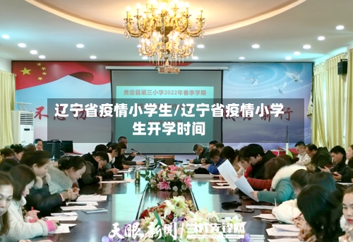辽宁省疫情小学生/辽宁省疫情小学生开学时间-第2张图片