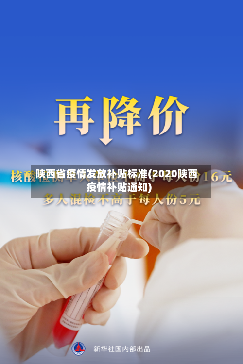 陕西省疫情发放补贴标准(2020陕西疫情补贴通知)-第1张图片