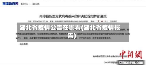 湖北省疫情公告在哪看(湖北省疫情报告)-第1张图片