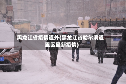 黑龙江省疫情道外(黑龙江省哈尔滨道里区最新疫情)-第3张图片