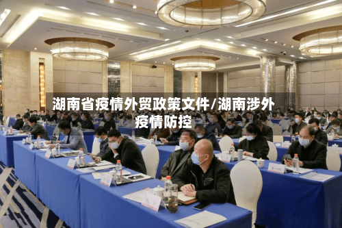 湖南省疫情外贸政策文件/湖南涉外疫情防控-第1张图片