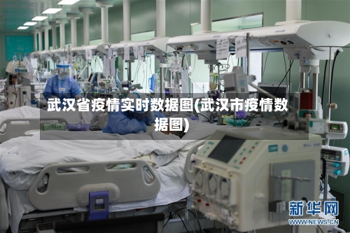 武汉省疫情实时数据图(武汉市疫情数据图)-第1张图片