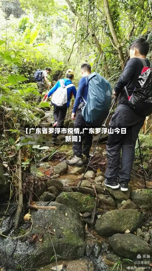 【广东省罗浮市疫情,广东罗浮山今日新闻】-第2张图片