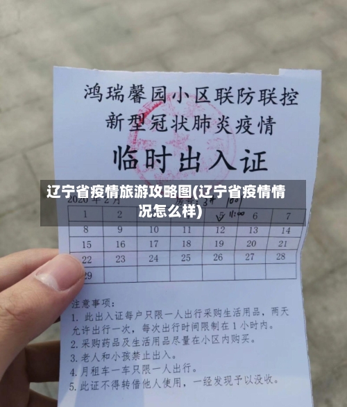 辽宁省疫情旅游攻略图(辽宁省疫情情况怎么样)-第2张图片