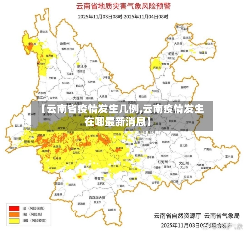 【云南省疫情发生几例,云南疫情发生在哪最新消息】-第3张图片