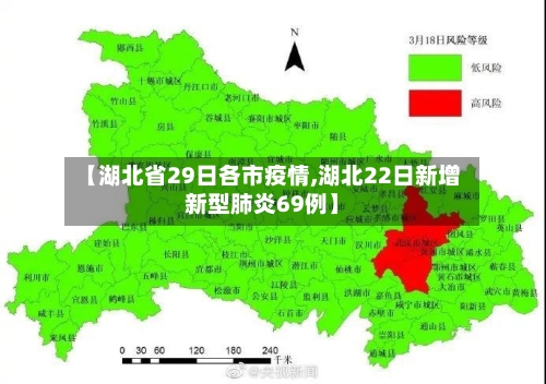 【湖北省29日各市疫情,湖北22日新增新型肺炎69例】-第1张图片