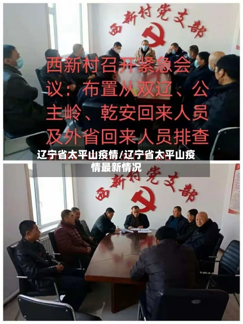 辽宁省太平山疫情/辽宁省太平山疫情最新情况-第2张图片